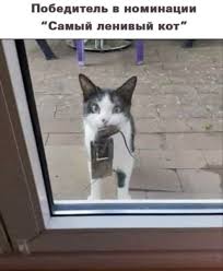 images.jpg.jpeg