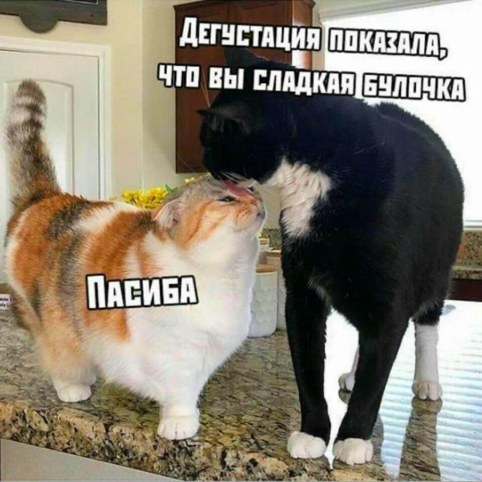 IPbbFKCNC5Q.jpg.jpeg