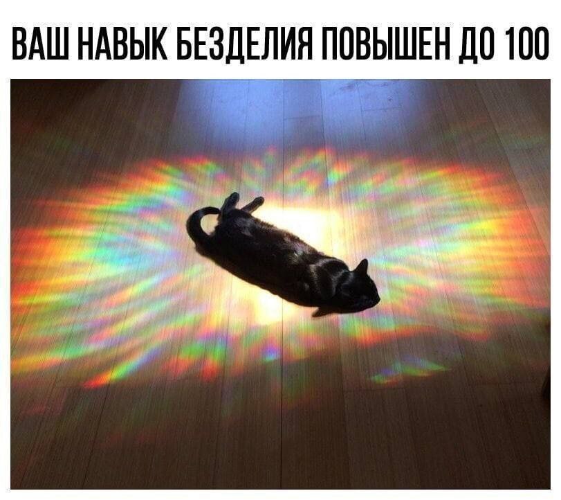 %D0%BA%D0%BE%D1%82%D1%8D-%D0%BA%D0%B0%D1%80%D1%82%D0%B8%D0%BD%D0%BA%D0%B8-7965189.jpeg