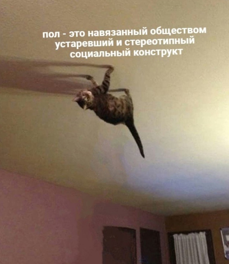 %D0%BA%D0%BE%D1%82%D1%8D%D0%B9%D0%BA%D0%B0-%D0%BF%D0%BE%D1%82%D0%BE%D0%BB%D0%BE%D0%BA-%D0%BF%D0%B5%D1%81%D0%BE%D1%87%D0%BD%D0%B8.jpeg