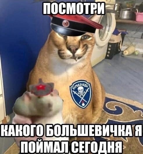 NgiktOENumM.jpg.jpeg