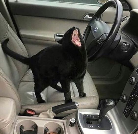 s2MqX4ZR4YY.jpg.jpeg