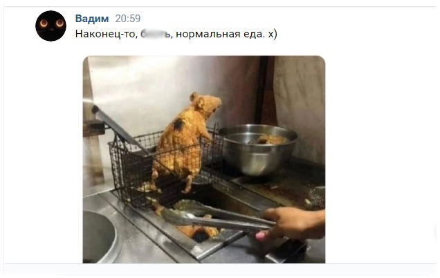 ToQMMtvClFw.jpg.jpeg