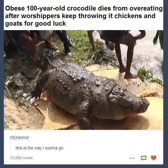 tRuwHFRcqKc.jpg.jpeg
