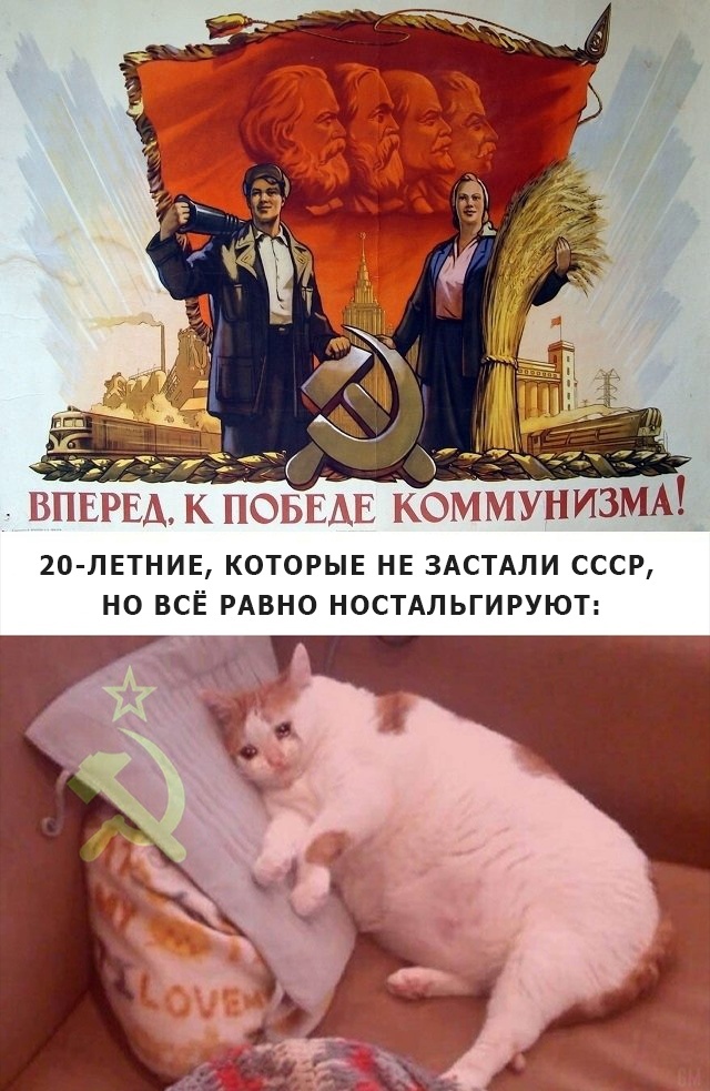 uI4gfAFe6UY.jpg.jpeg