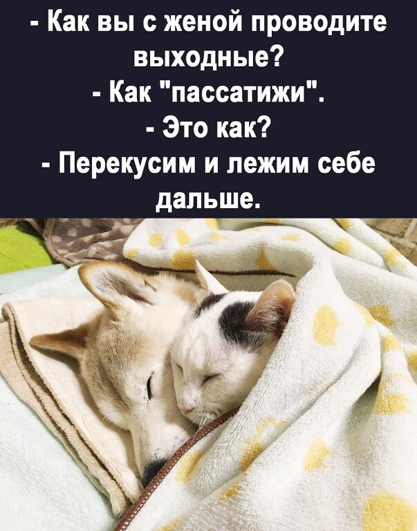 UID2537593_1663982684_90.jpg.jpeg