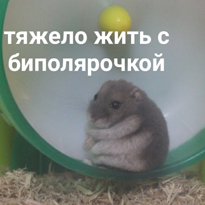 uRwP6j61u4g.jpg.jpeg