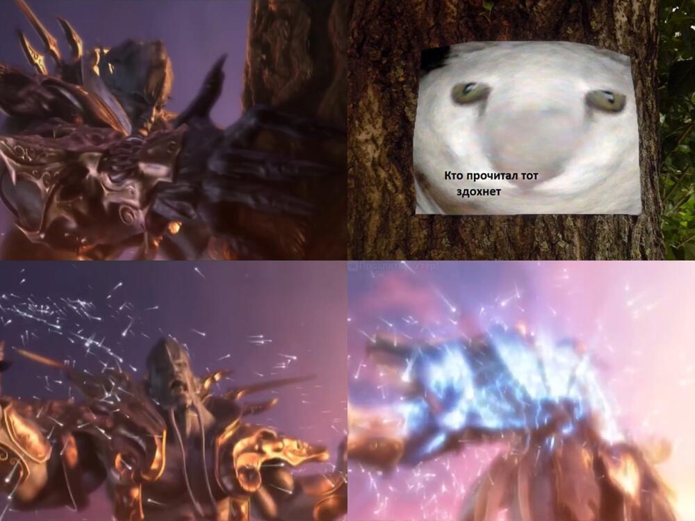 wRFUjsR3Sdg.jpg.jpeg