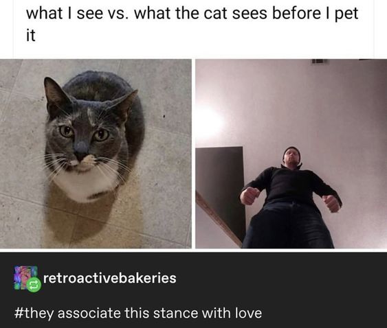 ZjyCDwmmLmw.jpg.jpeg