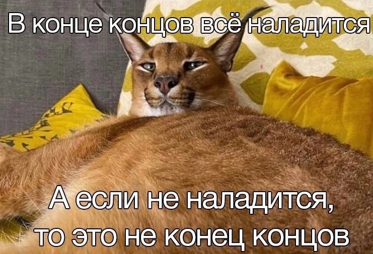 ZoBKKiqY994.jpg.jpeg