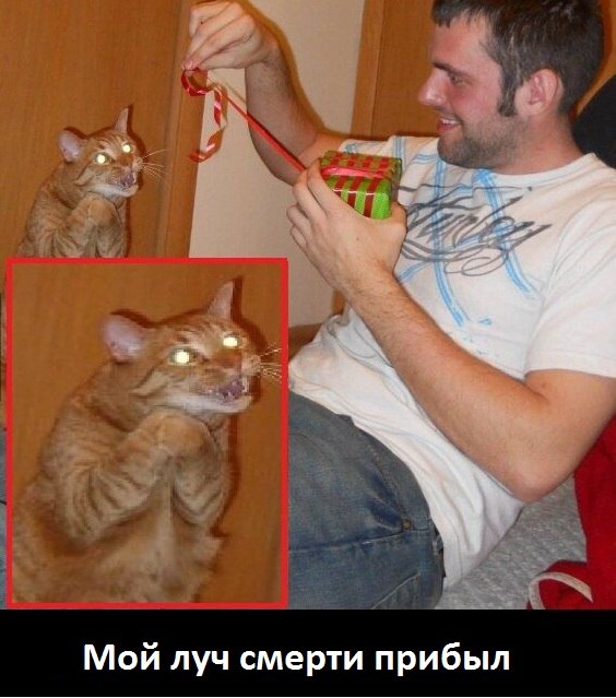 %D0%BA%D0%BE%D1%82%D1%8D-%D0%B6%D0%B8%D0%B2%D0%BD%D0%BE%D1%81%D1%82%D1%8C-%D0%BA%D1%80%D0%B5%D0%B0%D1%82%D0%B8%D0%B2-%D0%BF%D0%B.jpeg
