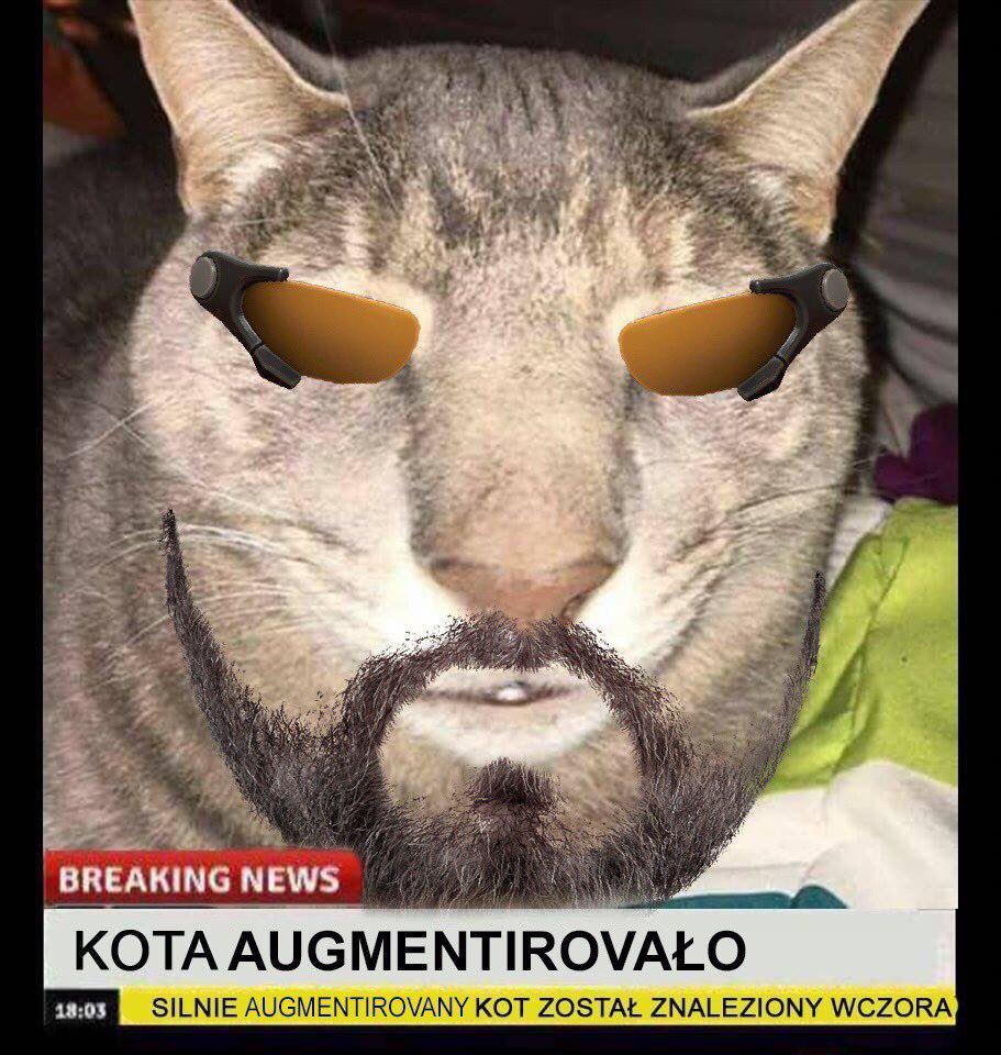 %D0%9F%D1%80%D0%B8%D0%BA%D0%BE%D0%BB%D1%8B-%D0%B4%D0%BB%D1%8F-%D0%B4%D0%B0%D1%83%D0%BD%D0%BE%D0%B2-%D1%80%D0%B0%D0%B7%D0%BD%D0%B.jpeg