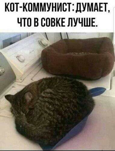 1569840406141763890.jpg.jpeg