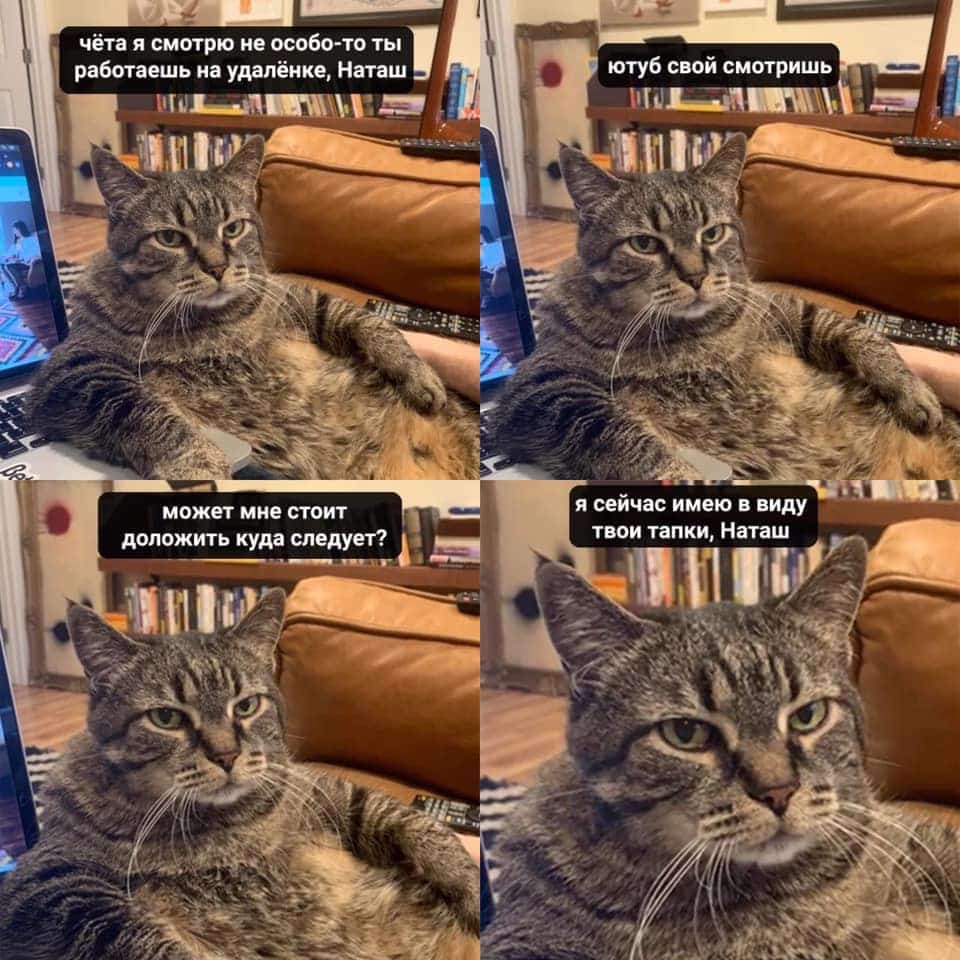 1587392053_fa1e71b43c940682f6a5d1b9875e3840.jpg.jpeg