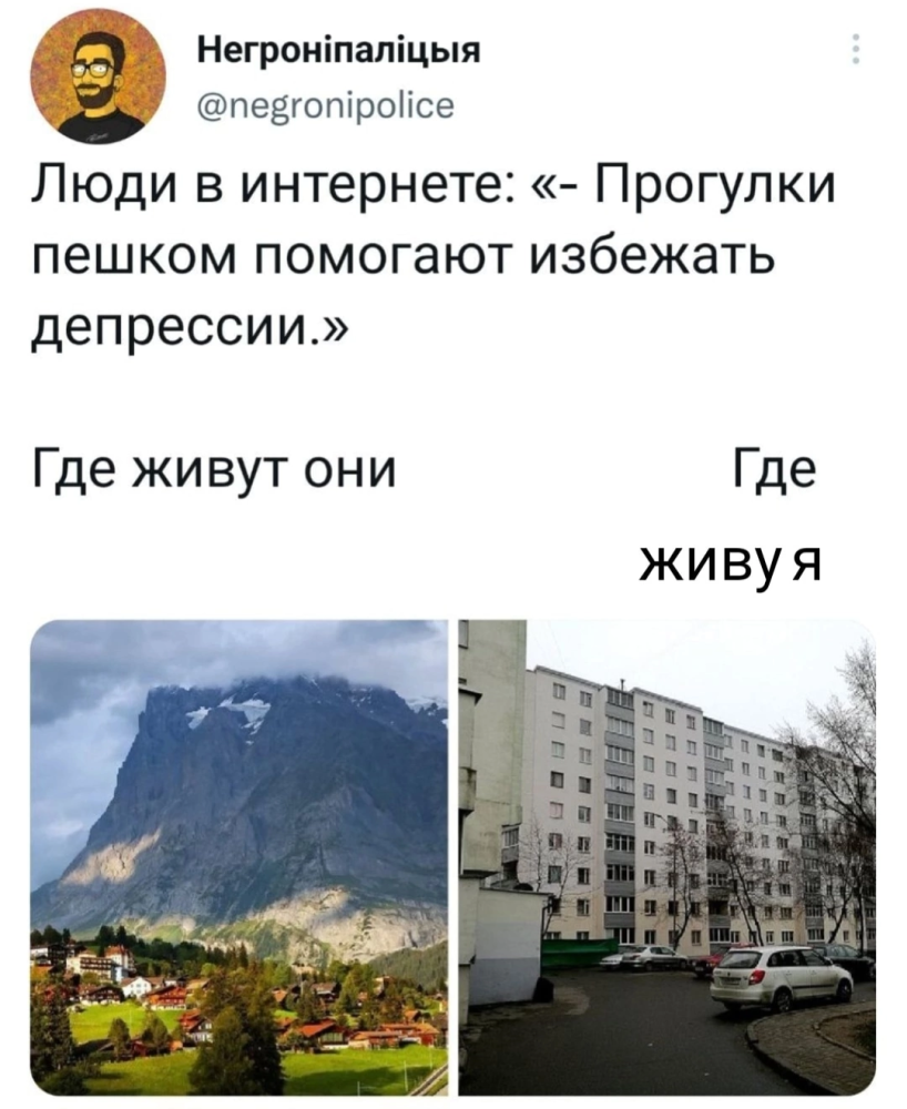 167127566921818777.png.webp.png