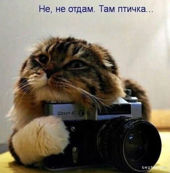 1687423399.jpg.jpeg