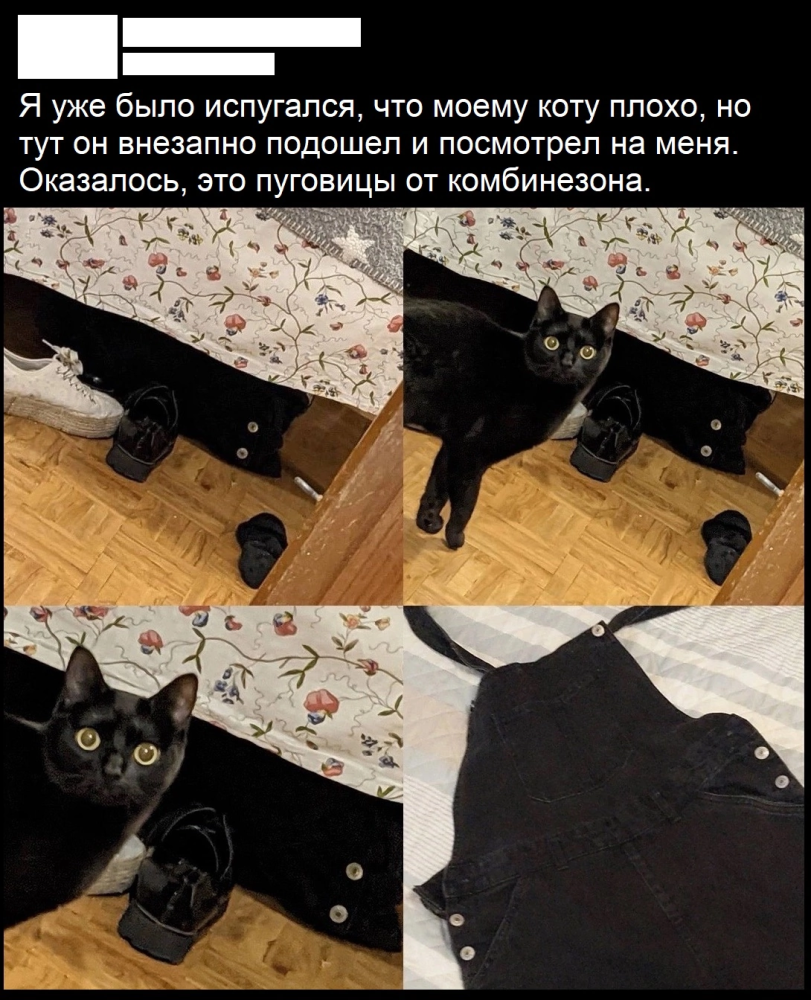 1687713624288220900.png.webp.png