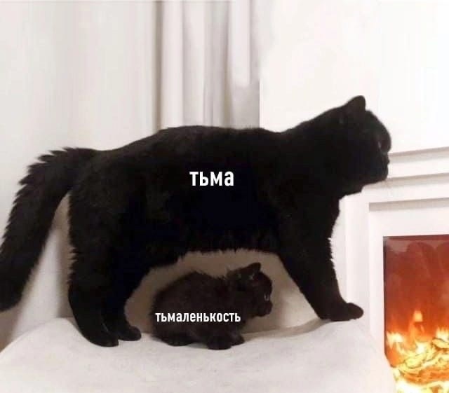 1adbFTRsXLQ.jpg.jpeg
