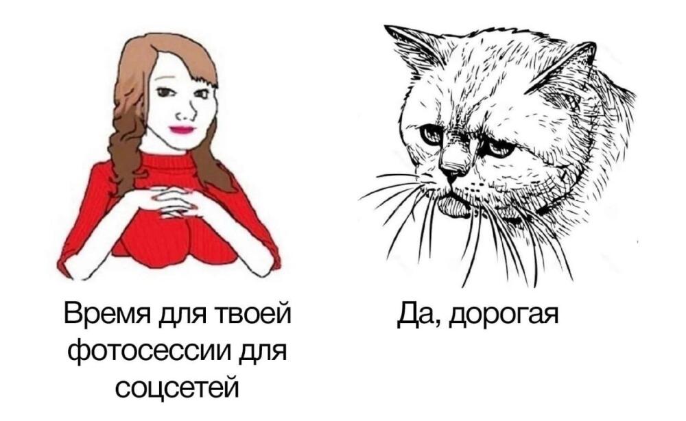 1Mw7eN1hibU.jpg.jpeg