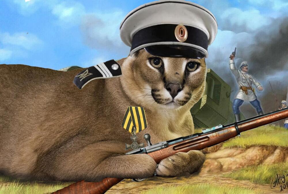2VNCNT3Ckpc.jpg.jpeg