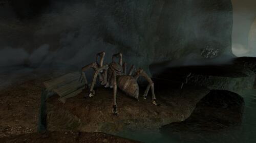 Подробнее о "Четкие пауки / Spiders HD"