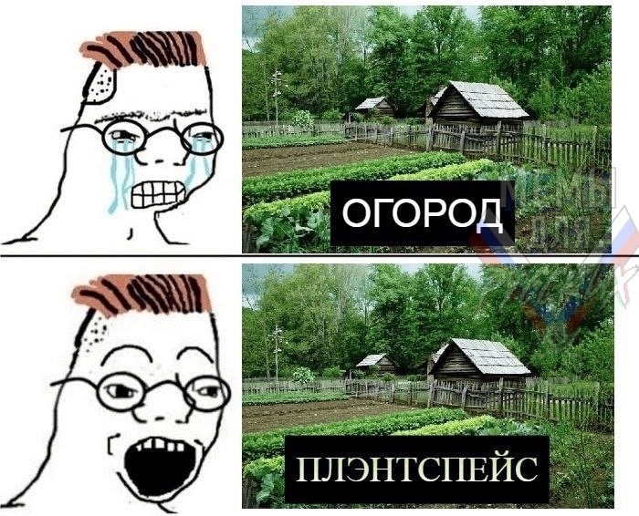 9QJY9038C6s.jpg.jpeg