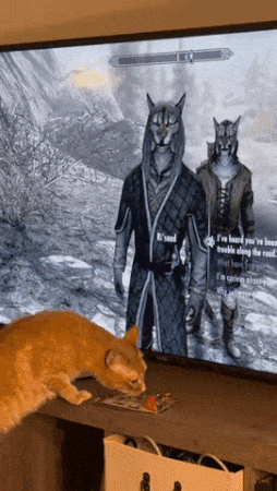 DE9ED44F8610FE4A5AA0C07A4B0457FF2519EF8B.gif