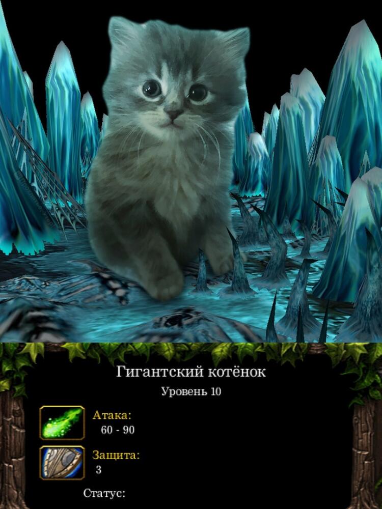 DkGvcZdKJEQ.jpg.jpeg