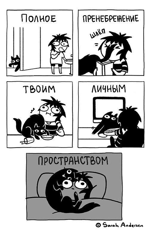 eAz5JhlmGoQ.jpg.jpeg