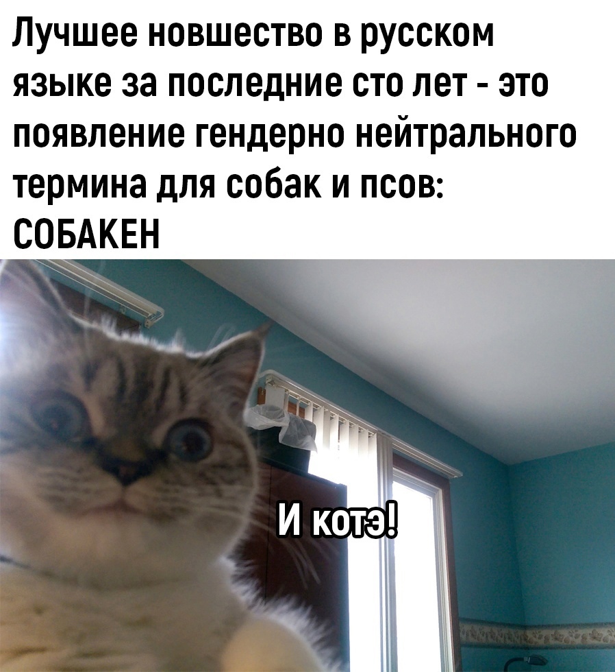 htMKMMj8M_4.jpg.jpeg