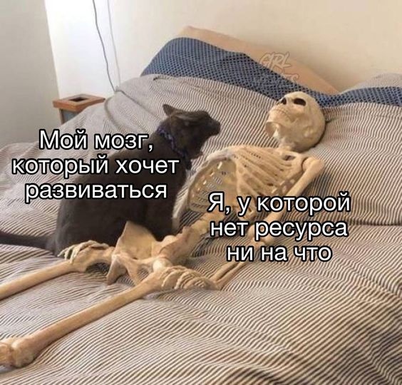 J-03q6h6qlw.jpg.jpeg