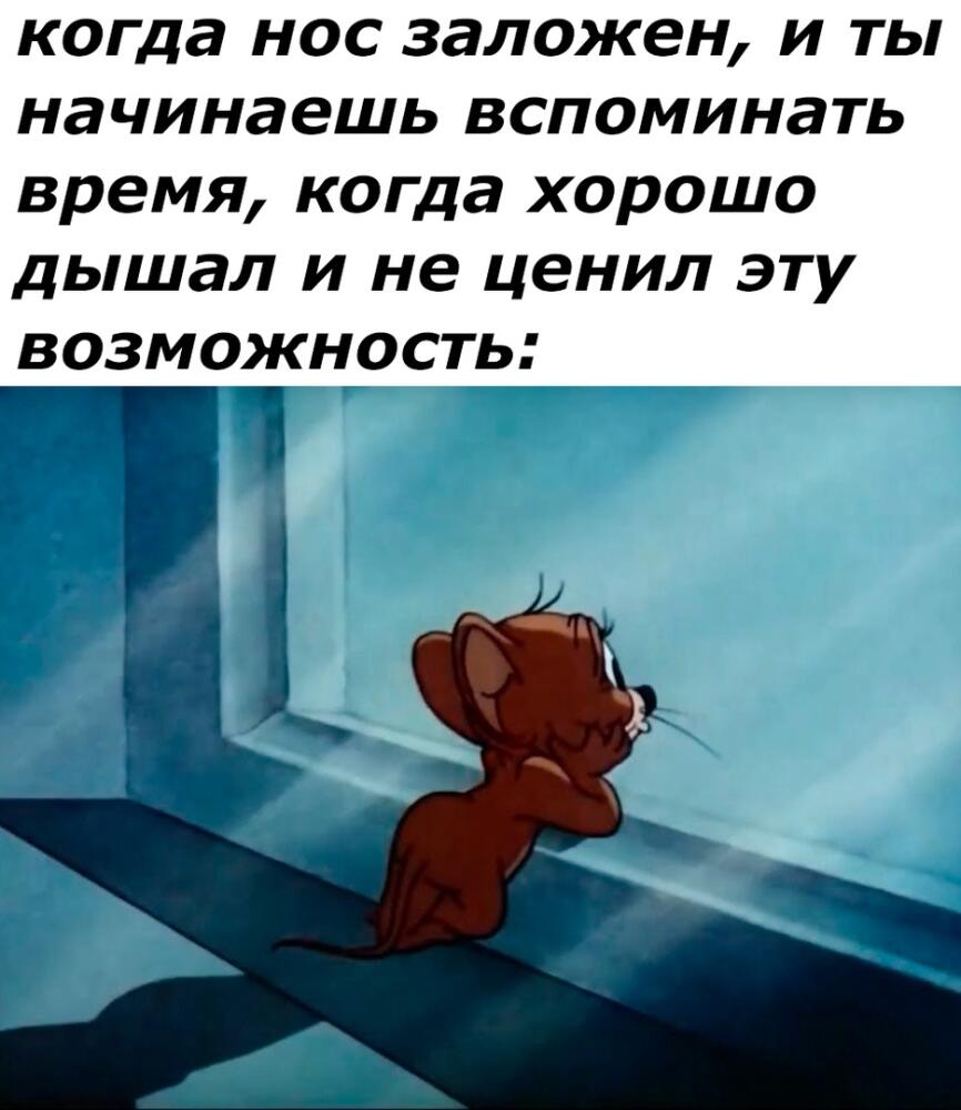 J1D_WoXS_mE.jpg.jpeg