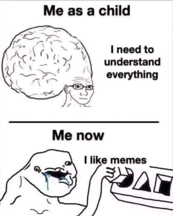 K8MSfwJv9tg.jpg.jpeg