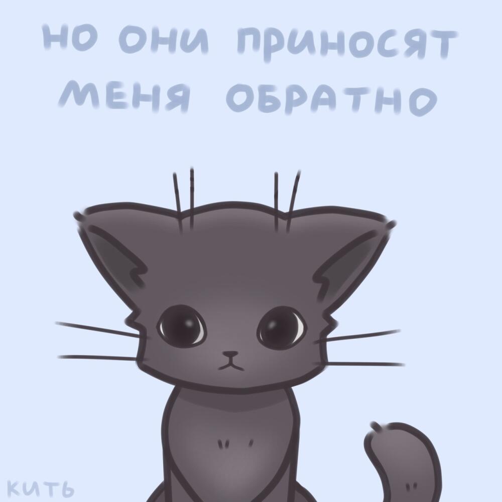 kALPPjKcrow.jpg.jpeg