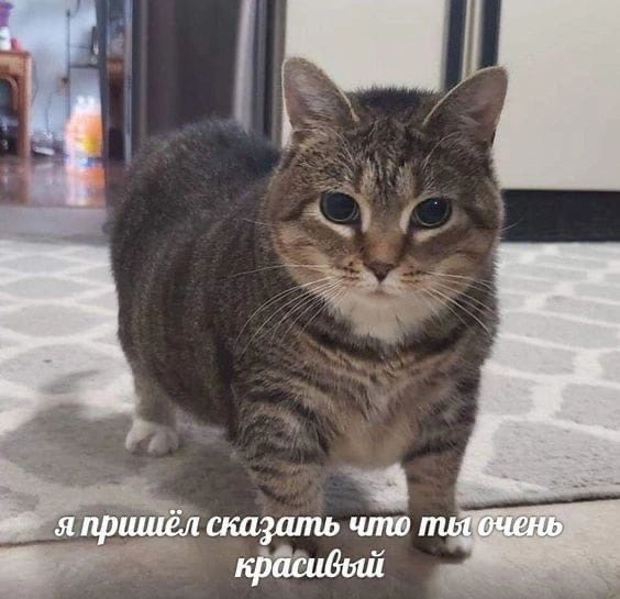 LKlEghxmIXc.jpg.jpeg