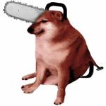 Равнодушная ворона