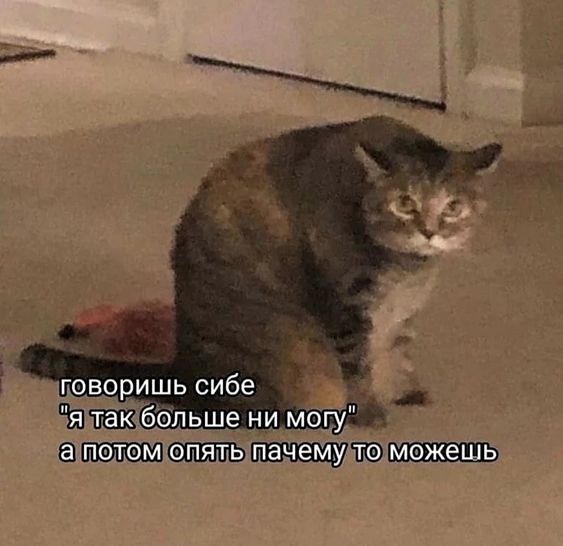 pu6xBB3Rjjw.jpg.jpeg