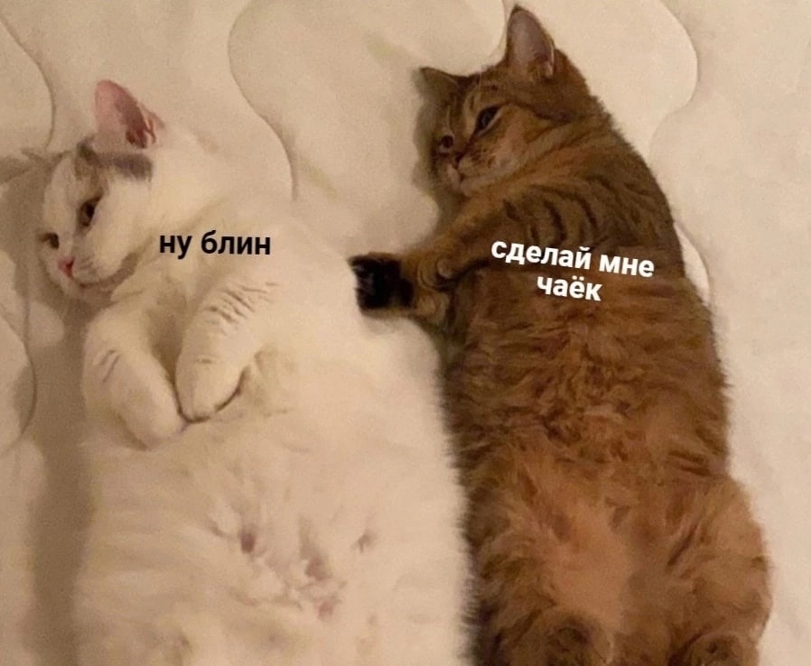 QLvdcw7zDck.jpg.jpeg