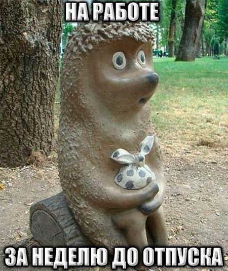 rfujg.jpg.jpeg