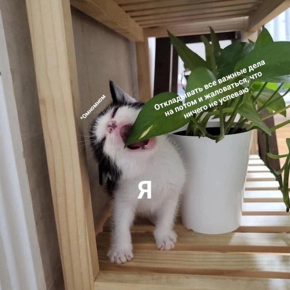 THIrBBSk6xA.jpg.jpeg