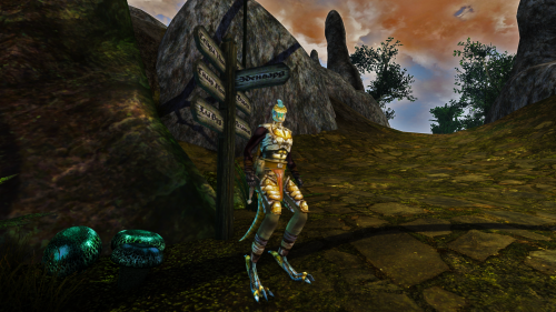 Подробнее о "Mercenary Argonian - Компаньон Аргонианин"