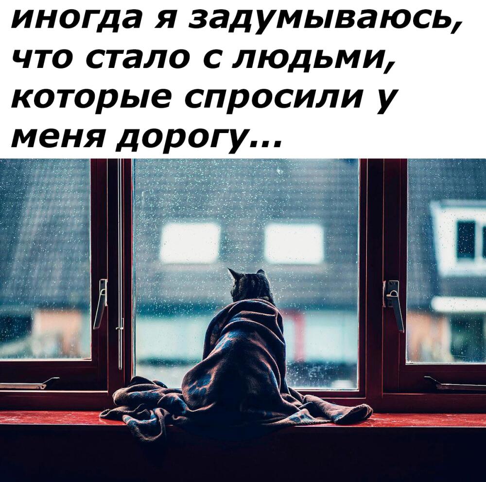 ty1zIRjf-CU.jpg.jpeg