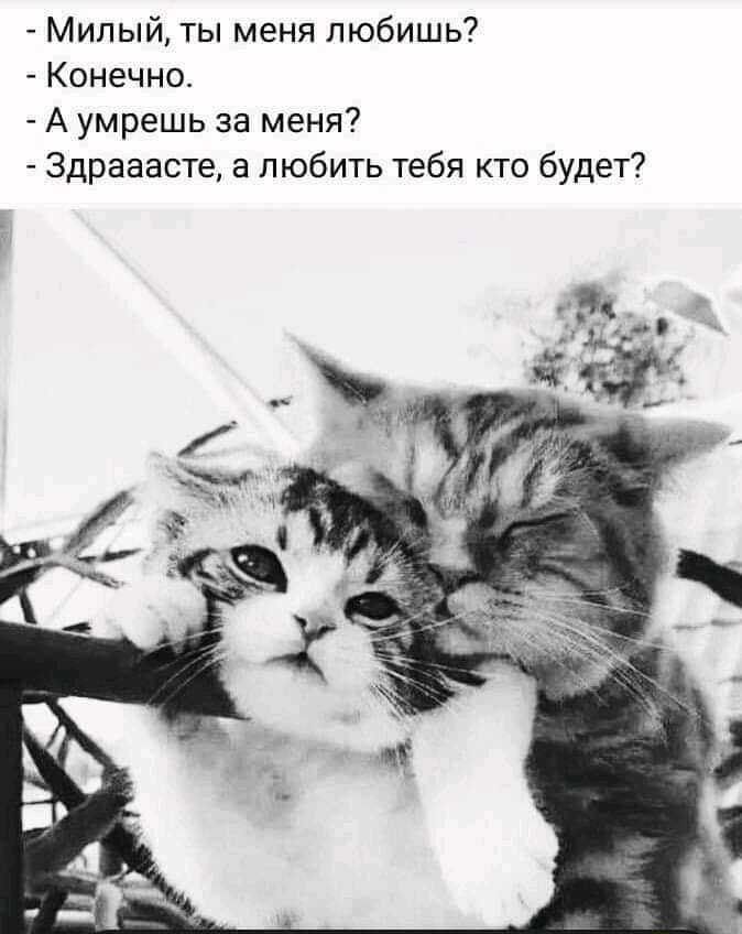 UID1749030_1621793852_20.jpg.jpeg