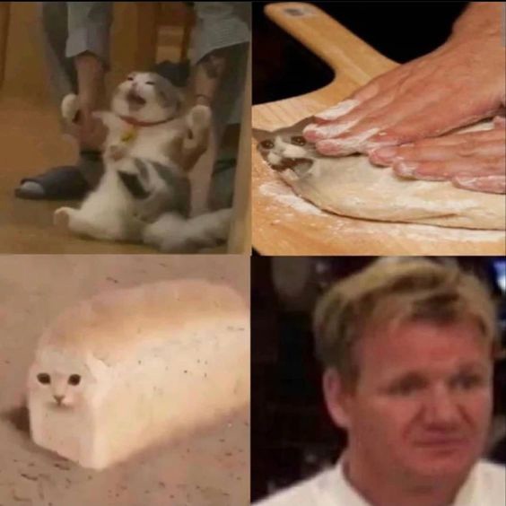 uIsnfTM4Sc8.jpg.jpeg