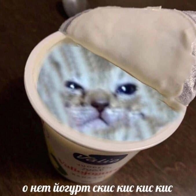 wleQXner_qE.jpg.jpeg