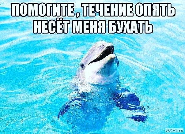 XLrQmtcS0F0.jpg.jpeg