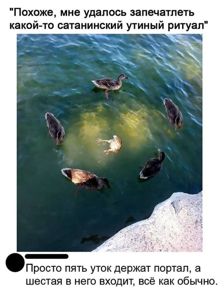 1689347246189968027.jpg.jpeg