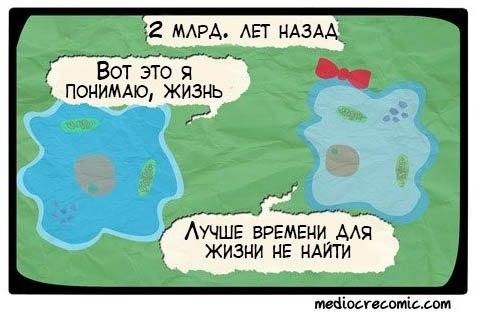 20662_original.jpg.jpeg