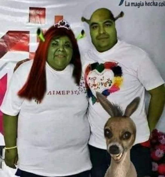 35ebf745933ea2a6132d0f4735e7dc71.jpg.jpeg