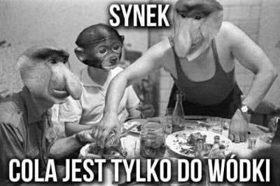 361hwzoVibU.jpg.jpeg